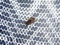 Insektenschutz - 6590 Preise Insektenschutz - 81094 Preise