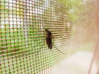 Insektenschutzrollo - 23254 Kombinationen