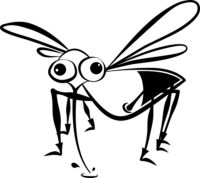 Insektenschutzrollo - 33915 Vorschläge