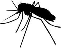 Insektenschutztür - 93220 Art Insektenschutztür - 98777 Art