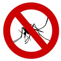 Insektenschutztür - 93676 Fotos Insektenschutztür - 68392 Fotos