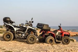 Quad Lanzarote - 73059 types