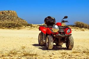 Trike Excursion - 92959 customers Trike Excursion - 61238 customers