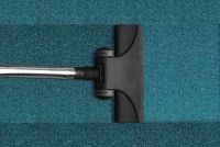 Carpet Cleaning Epsom - 82747 species