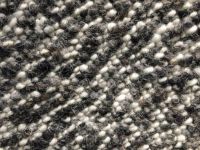 Carpet Cleaning Near Me - 81886 species Carpet Cleaning Near Me - 40367 species