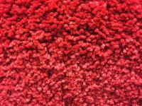 Eco Friendly Carpet Cleaning - 68672 suggestions Eco Friendly Carpet Cleaning - 19654 suggestions