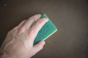 End Of Tenancy Cleaning In London - 68116 suggestions