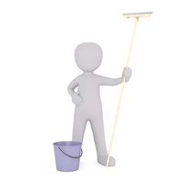 End Of Tenancy Cleaning London Prices - 50034 species End Of Tenancy Cleaning London Prices - 81978 species