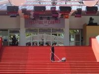 Green Carpet Cleaning - 41294 selection