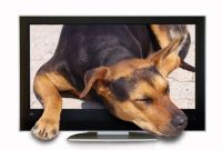 монитори - 66758 промоции монитори - 26900 промоции