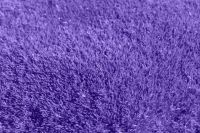 Office Carpet Cleaning Services - 6605 options Office Carpet Cleaning Services - 59546 options