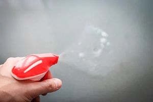 Professional Cleaning London - 54275 opportunities Professional Cleaning London - 56363 opportunities