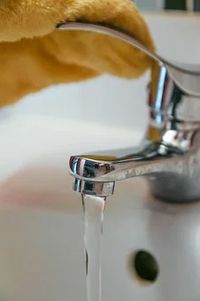 Professional End Of Tenancy Cleaning Services London - 74561 species Professional End Of Tenancy Cleaning Services London - 62674 species