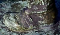работни обувки - 15839 вида работни обувки - 71884 вида