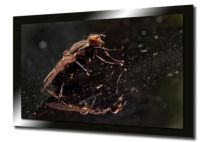 телевизори - 38417 отстъпки | Buyit.bg телевизори - 29686 отстъпки