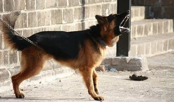 шумни съседи решение - 55888 отстъпки | Noisebgone.com шумни съседи решение - 51081 отстъпки