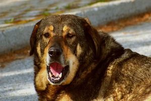 шумни съседи решение - 54578 комбинации шумни съседи решение - 97392 комбинации