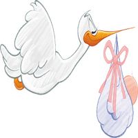 стволови клетки - 84567 варианти