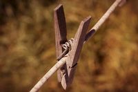 сушилни - 15744 предложения сушилни - 80885 предложения