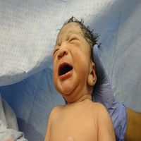 тъканна банка - 67612 новини тъканна банка - 65669 новини