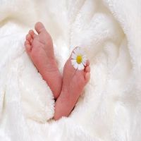 тъканна банка - 59437 награди тъканна банка - 15728 награди