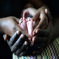 вземане на стволови клетки - 94343 предложения вземане на стволови клетки - 81479 предложения