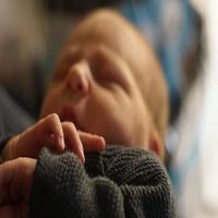 вземане на стволови клетки - 25318 бестселъри вземане на стволови клетки - 74478 бестселъри