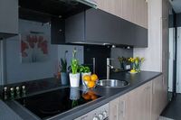 Luxury Estates Sofia - 62476 species