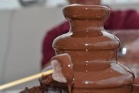 протеинов шоколад - 35025 клиенти