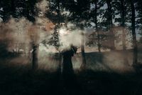 сватбен фотограф - 88342 селекции