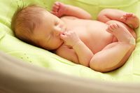 бебешки гнезда - 33459 предложения бебешки гнезда - 14758 предложения