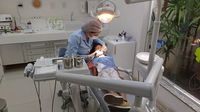 алайнери - 1333 вида | Medicaldent алайнери - 78539 вида