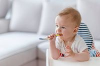 Chipolino - 49422 възможности Chipolino - 6744 възможности