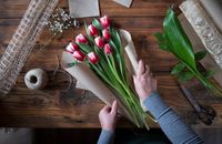 интериорно озеленяване - 34108 комбинации интериорно озеленяване - 20916 комбинации