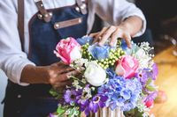 интериорно озеленяване - 8482 вида | Flowers-angeli интериорно озеленяване - 47307 вида