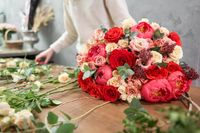 интериорно озеленяване - 93039 възможности интериорно озеленяване - 46996 възможности