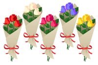 интериорно озеленяване - 31546 възможности интериорно озеленяване - 98116 възможности