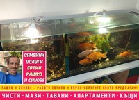 основно почистване - 74533 разновидности