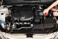 авточасти - 21596 разновидности