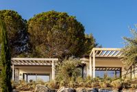 Halkidiki Resort - 55649 species Halkidiki Resort - 66222 species