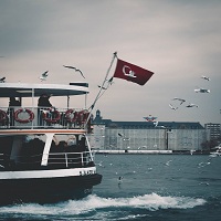 MSC круизи - 62034 селекции