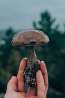 гъбички по ноктите - 94735 клиенти