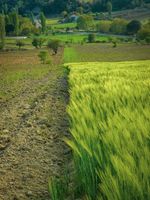 Земеделски новини - 33216 оферти | Agro TV Земеделски новини - 39600 оферти