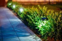 соларни лампи - 55831 клиенти