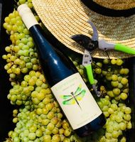 бяло вино - 85007 разновидности | shopwine.me бяло вино - 36544 разновидности