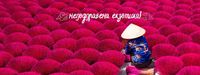 екскурзии до Египет - 71924 промоции екскурзии до Египет - 80905 промоции