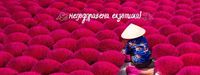 екскурзия Индия - 76728 награди | Nikona екскурзия Индия - 88342 награди
