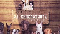 говедовъдство - 73020 вида | AgroTV говедовъдство - 45379 вида