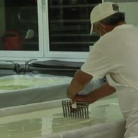 зеленчукопроизводство - 80466 клиенти | AgroTV зеленчукопроизводство - 5213 клиенти