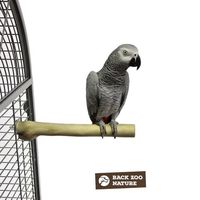 Клетка за папагали - 20991 разновидности | Parrots Paradise Клетка за папагали - 50481 разновидности